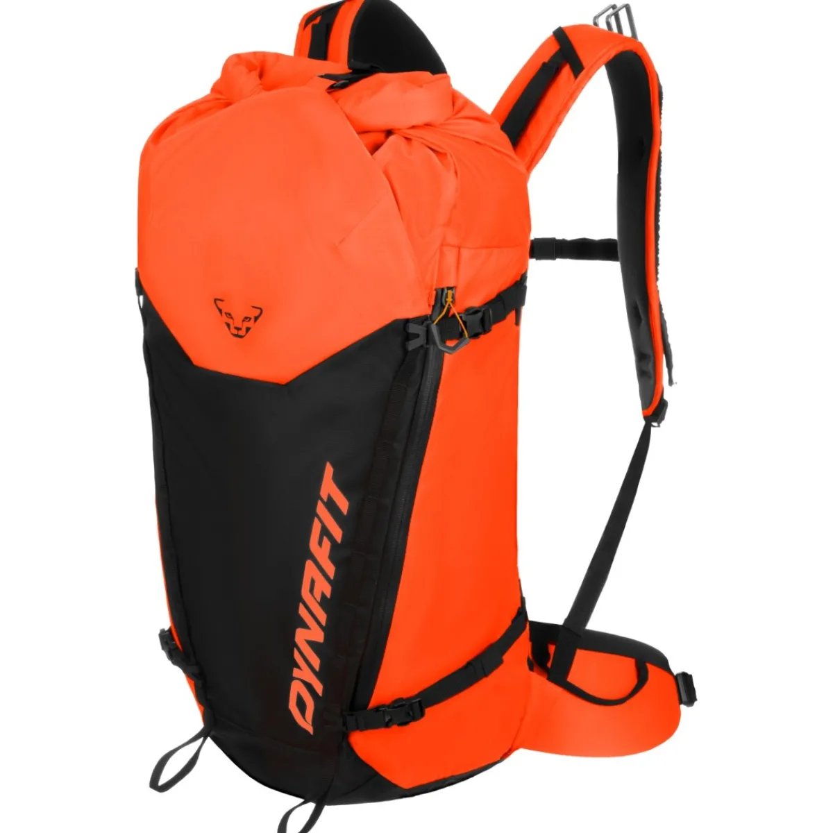 Dynafit Expedition 36 ski mountaineering backpack Outlet