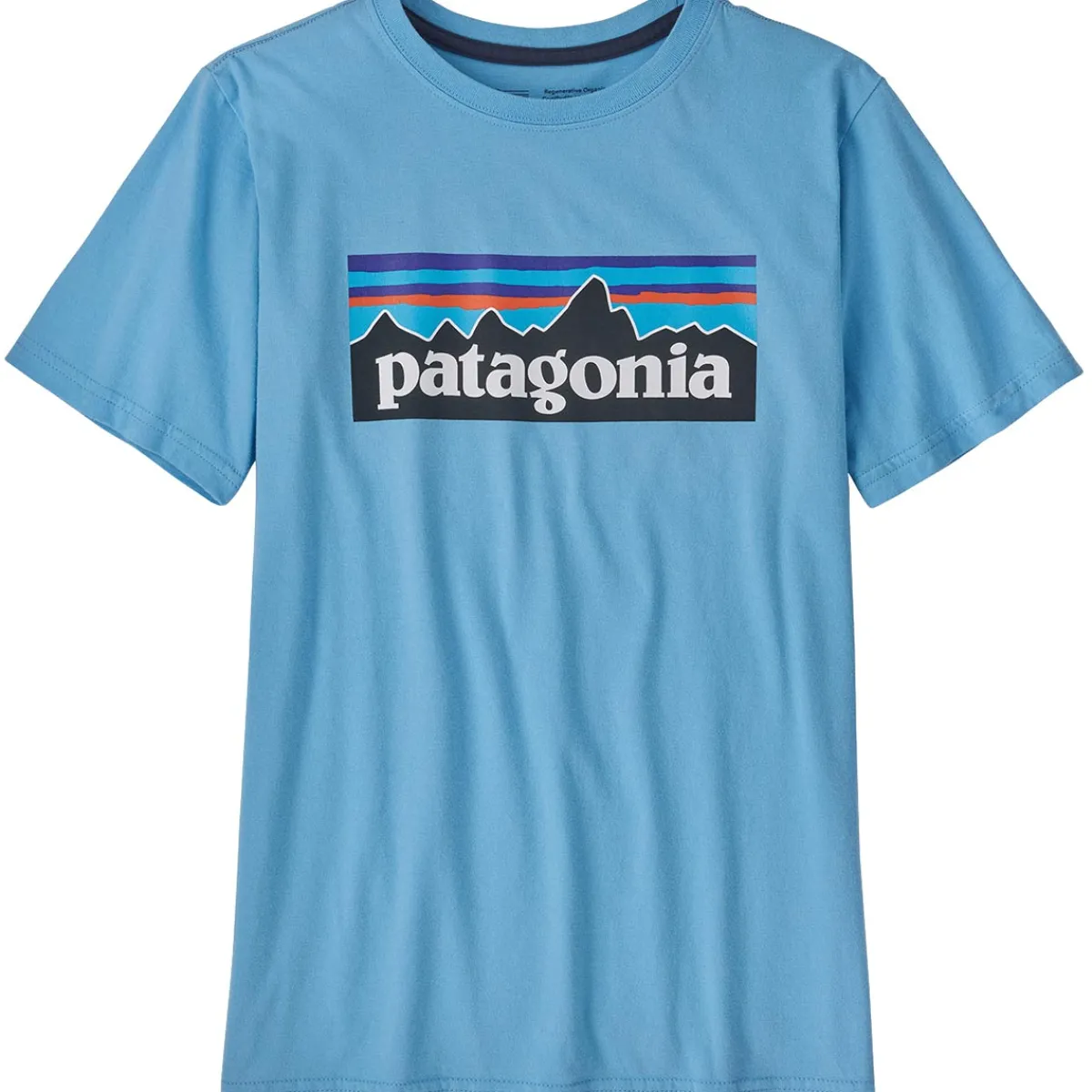 Patagonia Boys' Regularenerative Organic Certified Cotton P-6 Logo kid's t-shirts Best Sale