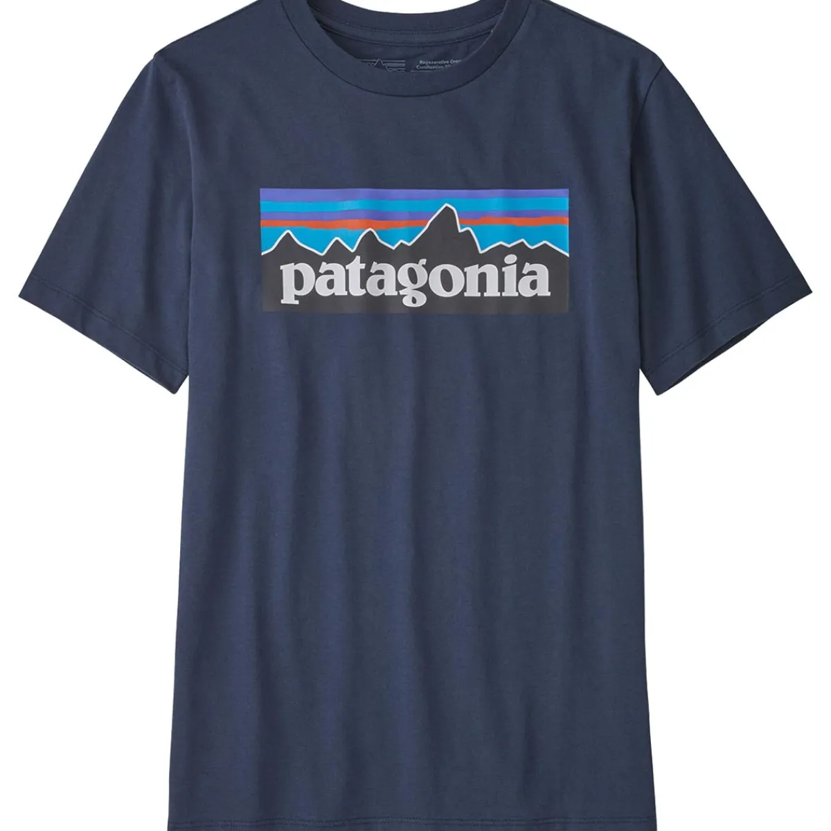 Patagonia Boys' Regularenerative Organic Certified Cotton P-6 Logo kid's t-shirts Best Sale