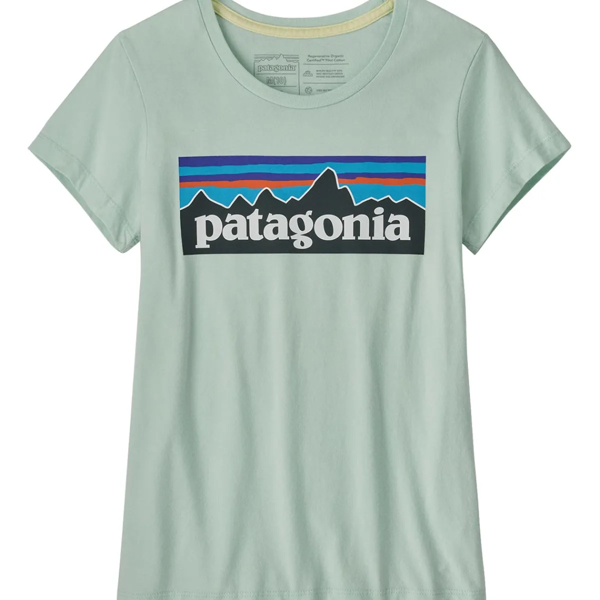 Patagonia Girls' Regularenerative Organic Certified Cotton P-6 Logo kid's t-shirts Best Sale