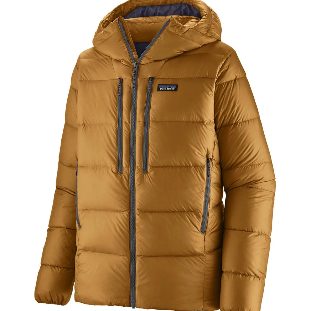 Patagonia M's Fitz Roy Down Hoody Men's Down Jacket Best