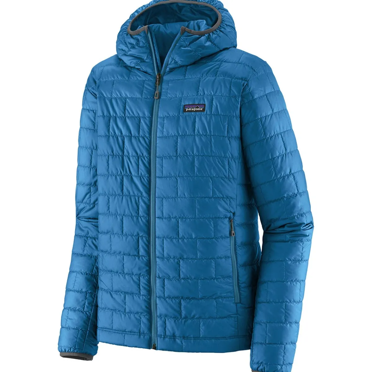 Patagonia M's Nano Puff Hoody men's down jacket Fashion